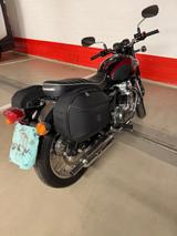 Kawasaki W 800 - Kawasaki Motorräder in Berlin