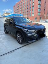 BMW xDrive40i Laser | Pano | HuD | 360Kamera| ACC |  - gebrauchte BMW X5 aus dem Jahr 2019