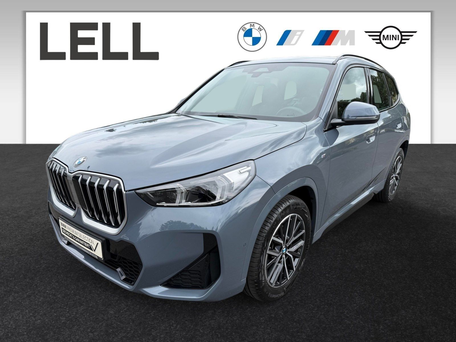 BMW X1 sDrive20d M Sportpaket HK HiFi DAB LED AHK foto 1