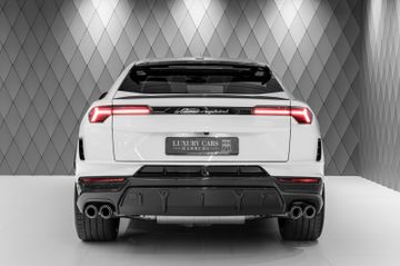 Urus Performante 2024 WHITE/RED CARBON HOOD FULL