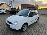 Volkswagen Lupo Basis 1.4L Klima Cabrio Tüv:01.2027 - gebrauchte VW Lupo aus dem Jahr 2003