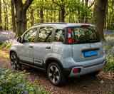 Fiat New Panda 1.2 8V CITY CROSS - Fiat New Panda von privat