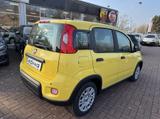 Fiat Panda MY24 1.0 Klima PDC Citypaket - 2.0L Gebrauchtwagen