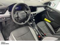 Skoda Kamiq - Vorschau Bild 14