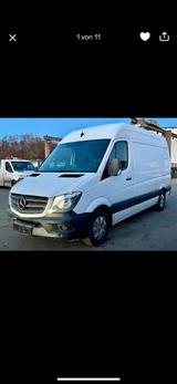 Mercedes-Benz Mercedes Sprinter 313CDI 125.000KM TOP Zus... - Mercedes-Benz Sprinter: Van, Merc