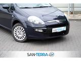 Fiat Punto EVO MYLIFE KLIMA*MULTI-LENKRAD*SERVO*ZV*CO - Fiat Punto Gebrauchtwagen in Hamburg