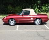 Alfa Romeo Spider, Rostfrei, Top Zustand - Alfa Romeo Spider von privat