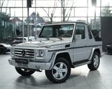 Mercedes-Benz G 320 CDI Cabr. *69 TSD KM *Leder *Sofort * - Mercedes-Benz G-Klasse in Düsseldorf