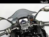 Kawasaki Ninja 1000SX Performance Tourer - Kawasaki Motorräder in Nürnberg