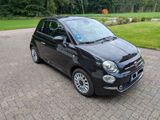 Fiat 500 1.2 8V Lounge Lounge - Fiat 500: Privatanbieter