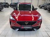 Cupra Formentor 1.5 TSI  AHK|360°|LED|Navi|Sitzhzg - Cupra Formentor Gebrauchtwagen