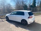 Volkswagen Golf 7 GTI Performance DSG Leder ACC DCC... - Volkswagen Golf: 7 GTI