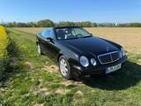 Mercedes-Benz CLK 320 AVANTGARDE Avantgarde - Mercedes-Benz aus 2000: Cabrio, Clk