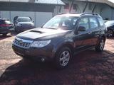 Subaru Forester Comfort - Subaru Forester Comfort mit Diesel-Antrieb