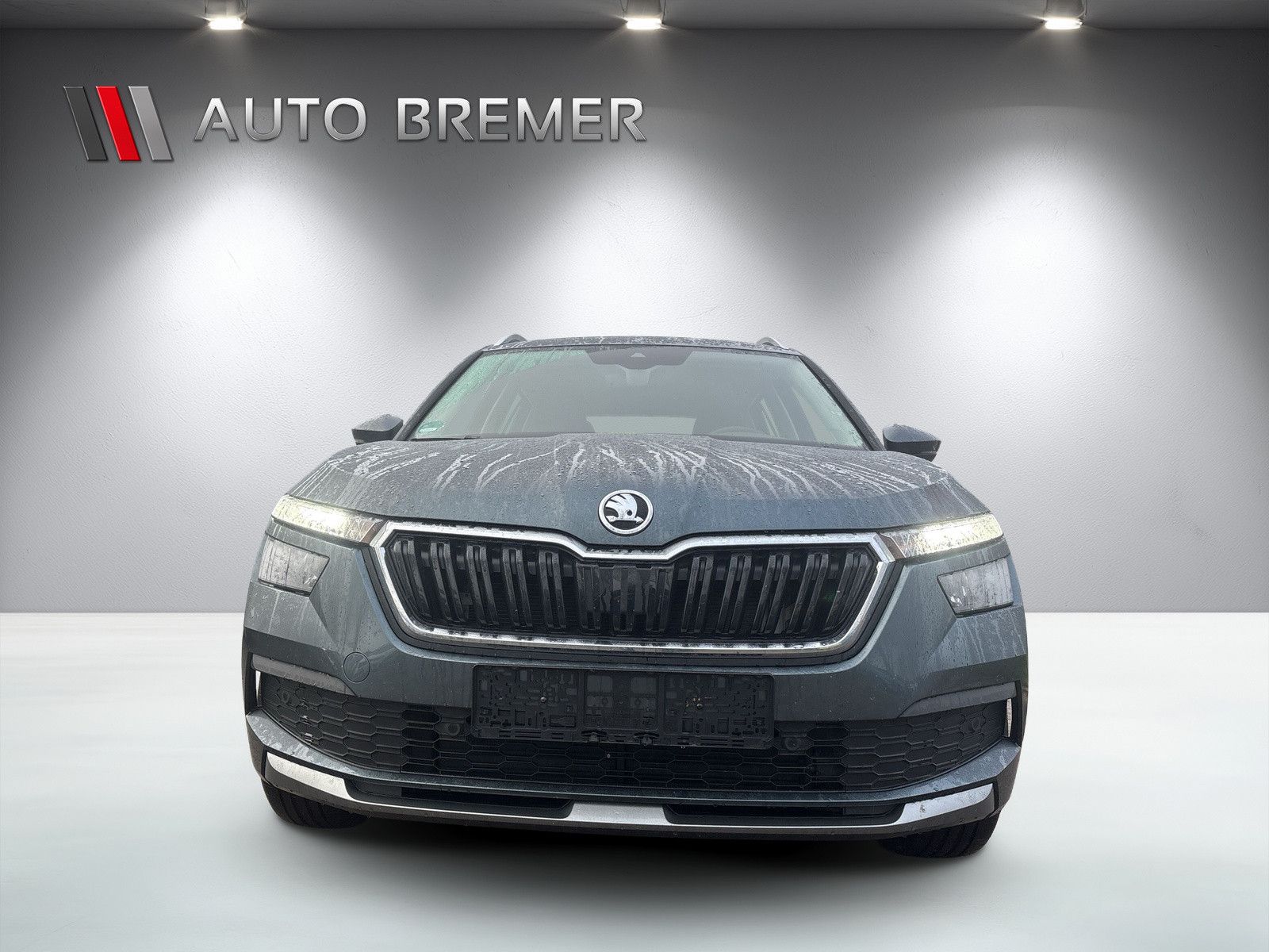 Fahrzeugabbildung SKODA Kamiq  1.0 TSI  Style Navi beh.Frontscheibe