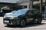 Lexus UX 250h E-FOUR Luxury Line - Lexus UX aus 2019