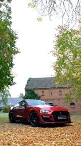 Ford Mustang 2.3  Shelby gt 500 F.Performance - Ford Mustang: Performance