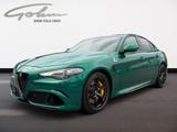 Alfa Romeo Giulia Quadrifoglio - Alfa Romeo Giulia mit Benzin-Antrieb