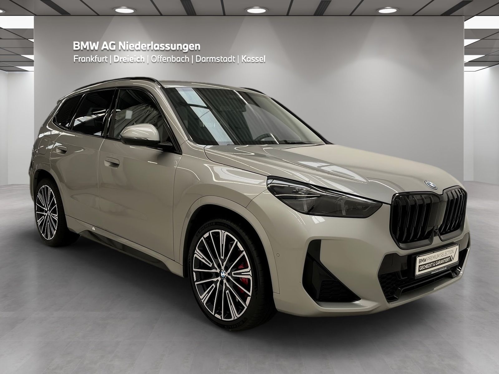 BMW X1 xDrive30e M Sport AHK Driv.Assist.Prof LED foto 3