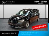 Mercedes-Benz Citan 110 CDI lang Klima Kamera Park-Paket