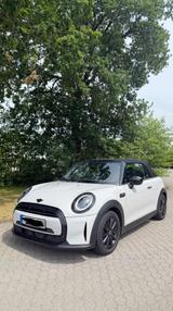 MINI Cooper Cabrio / Sonderfolierung Greige  - MINI mit Benzin-Antrieb: Beige