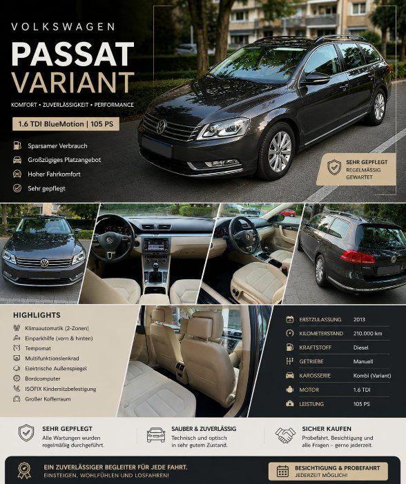 Volkswagen Passat 2013 — rear view