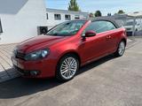 Volkswagen Golf Cabrio Cup 1.6 TDI Navigation - Volkswagen Golf mit Diesel-Antrieb: Cabrio, 1.6