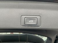 Cupra Terramar - Vorschau Bild 15