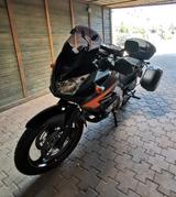 Suzuki V-Strom - Angebote