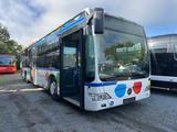 Mercedes-Benz O 530 Citaro LE (Euro 5, Klima) - Mercedes-Benz Citaro o530