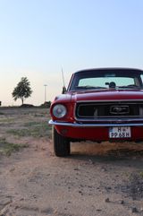 Ford Mustang*V8*Automatik*Servo*Scheibenbr.*Magnaflow - Ford Mustang aus 1968
