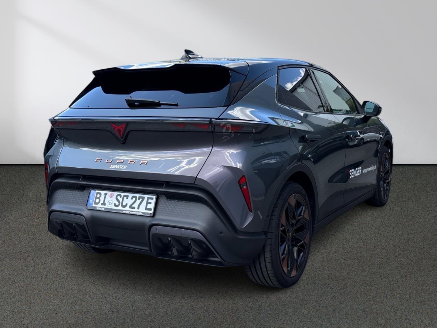 Cupra Raval Endurance Edition Dynamic Plus Plasma