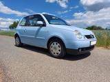Volkswagen VW Lupo 1,4  16V College mit Faltdach - : Kleinwagen, Faltdach mit