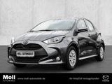 Mazda 2 Hybrid 1.5 VVT-i 116PS CVT PURE PLUS-Paket ACC - Mazda 2 in Aachen