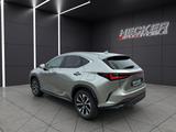 Lexus NX 450h+ Business (E-Four)  *Klimaautomatik*Adap - scheckheftgepflegte Lexus NX-Serie