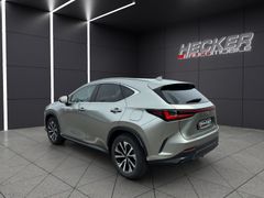 Lexus NX 450h+ Business (E-Four)  *Klimaautomatik*Adap