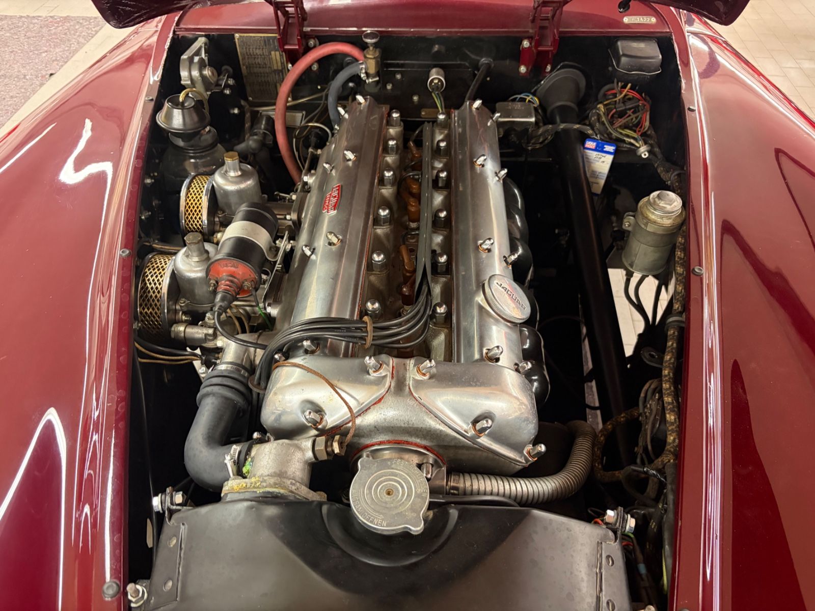 JAGUAR XK 16