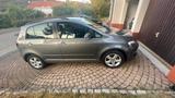 Volkswagen Golf Plus | 38tkm | 1.Hand | Parkass. | 8-fach | - Volkswagen Golf: 3.1