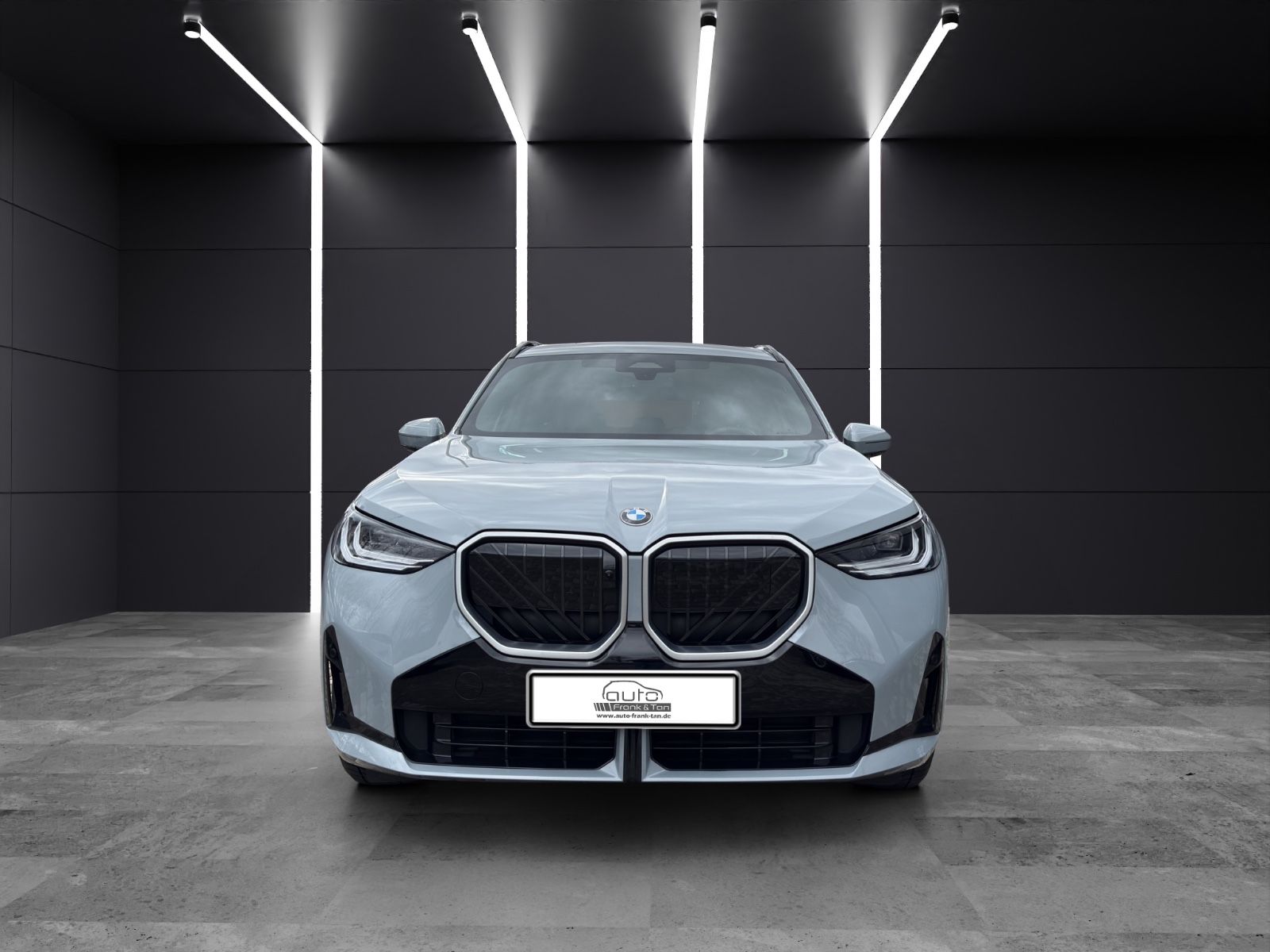 Fahrzeugabbildung BMW X3 xDrive M Sport*Apple*Memory*360 Kamera*