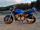 Honda Hornet CB600f  Pc34  - HONDA 2000 HORNET 600
