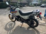 Honda NX 650 Dominator (RD08) - HONDA DOMINATOR