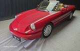 Alfa Romeo Spider 1.6 cc certif. ASI con C.R.S - gebrauchte Alfa Romeo Spider aus dem Jahr 1991