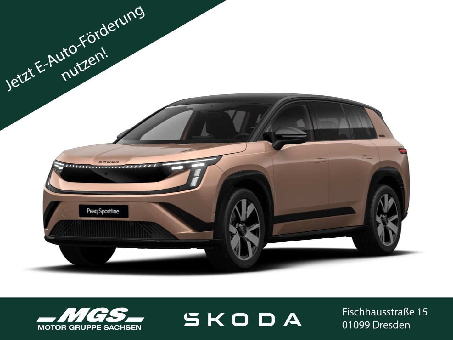 Skoda Andere - Bild 1
