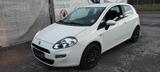 Fiat Punto - Fiat Punto Gebrauchtwagen in Stuttgart