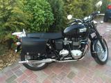 Triumph Bonneville T100 - Offers