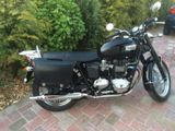 Triumph Bonneville T100 - TRIUMPH T100