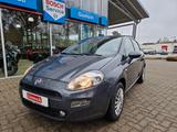Fiat Punto 1.2 Street Klima EFH - gebrauchte Fiat Punto aus dem Jahr 2017
