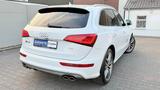 Audi SQ5*3.0*S-line*Competition*Carbon*B&O*RFK*Totw* - Audi SQ5: Competition