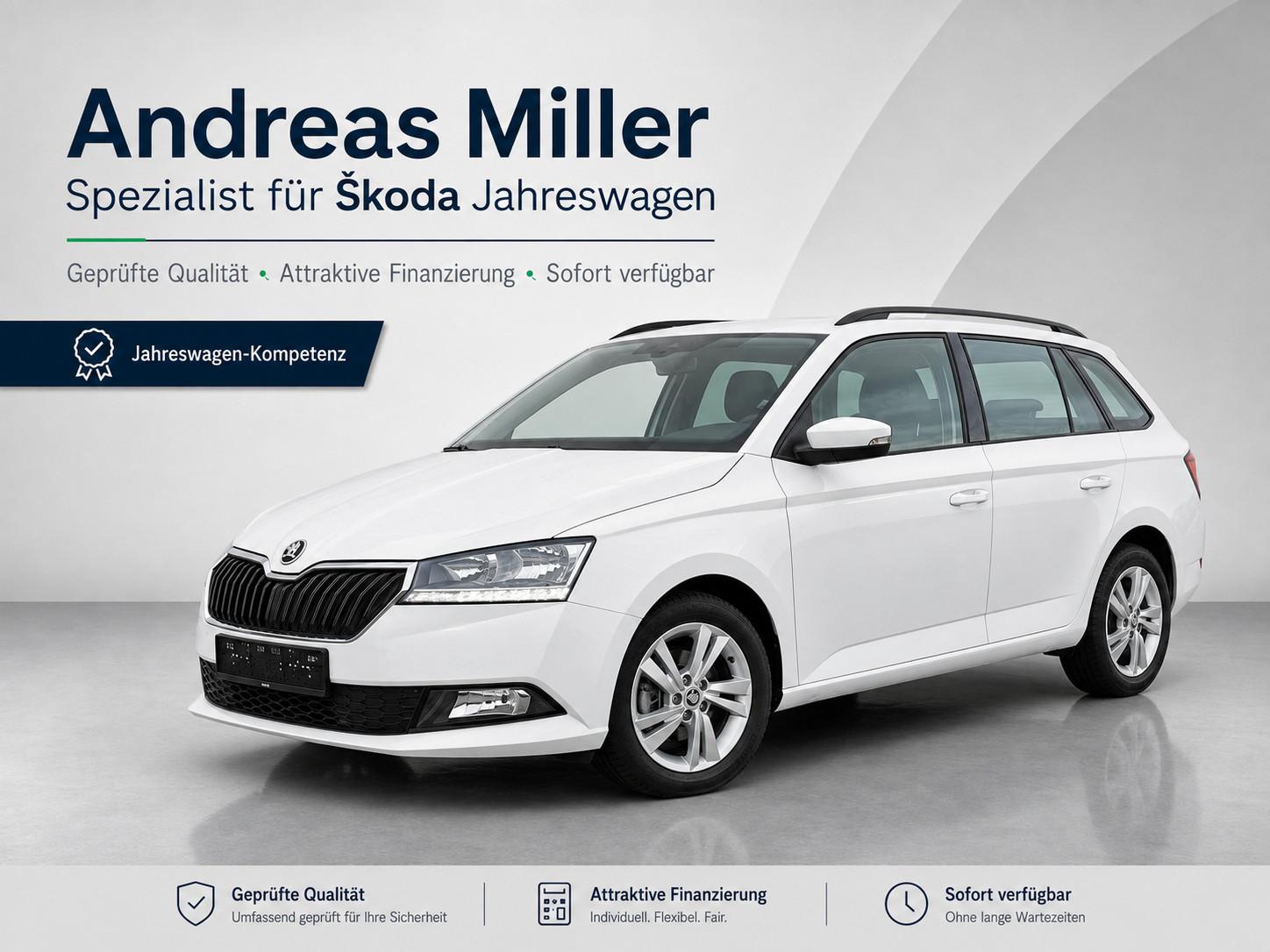 Skoda Fabia 95 PS DSG COMBI Navi-App Allwetter Garant.