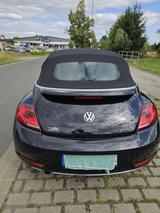 Volkswagen Beetle Caprio - Caprio gebraucht